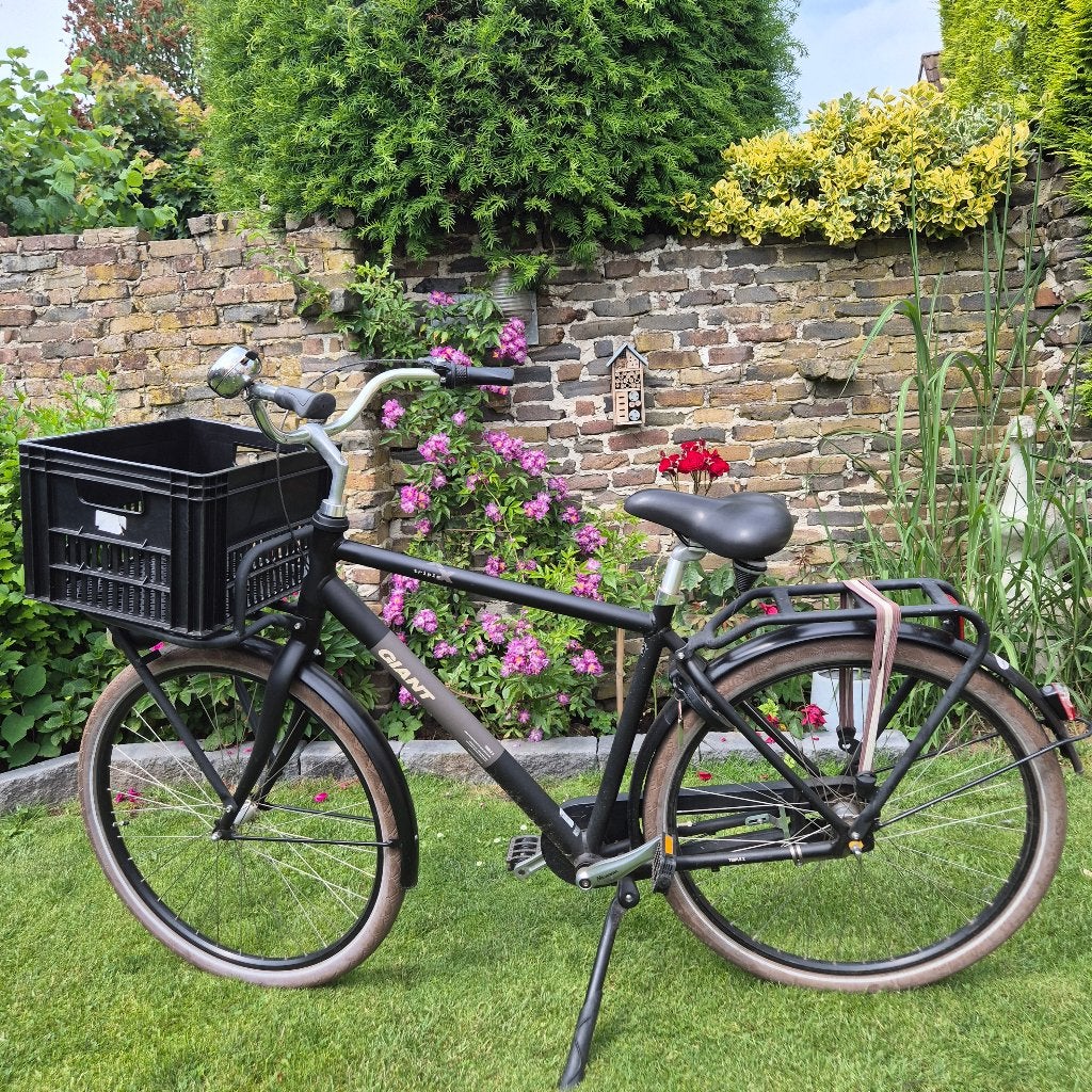 Giant Triple X herenfiets, Fietsen en Brommers, Fietsen | Heren | Herenfietsen, Ophalen, Terugtraprem, Gebruikt, Versnellingen