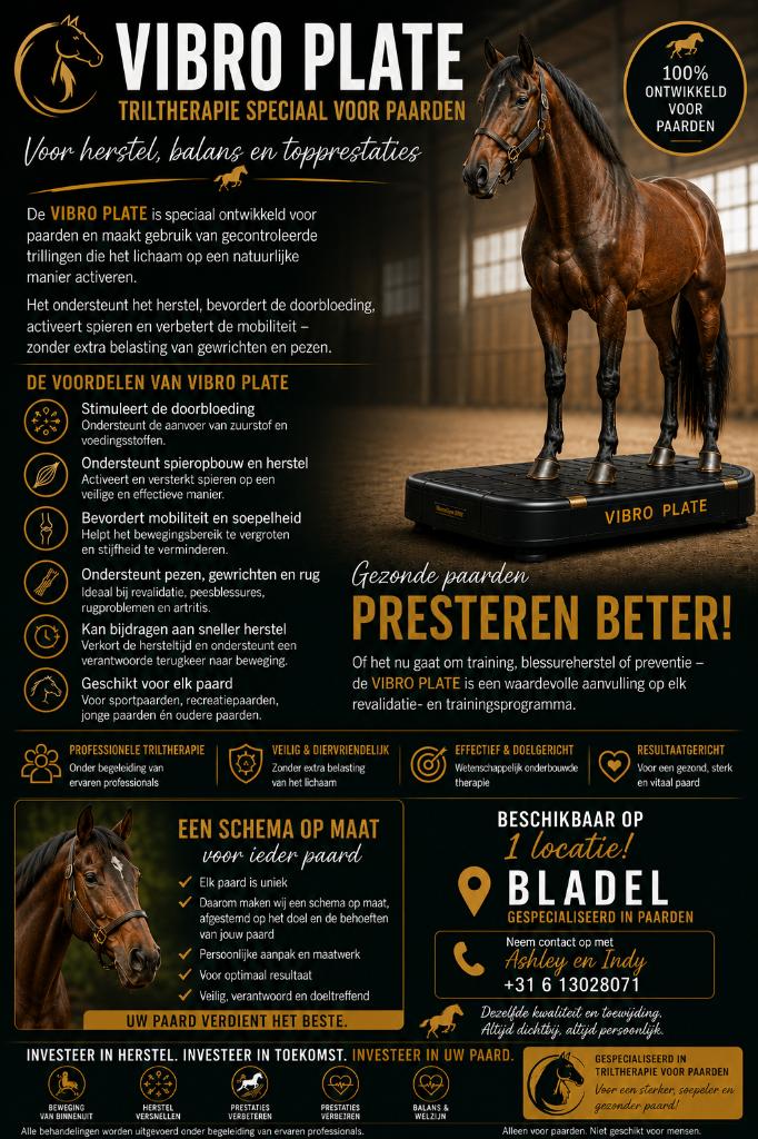 Vibro plate Paardenbegeleider/revalidatie, Toebehoren, 4 paarden of pony's of meer