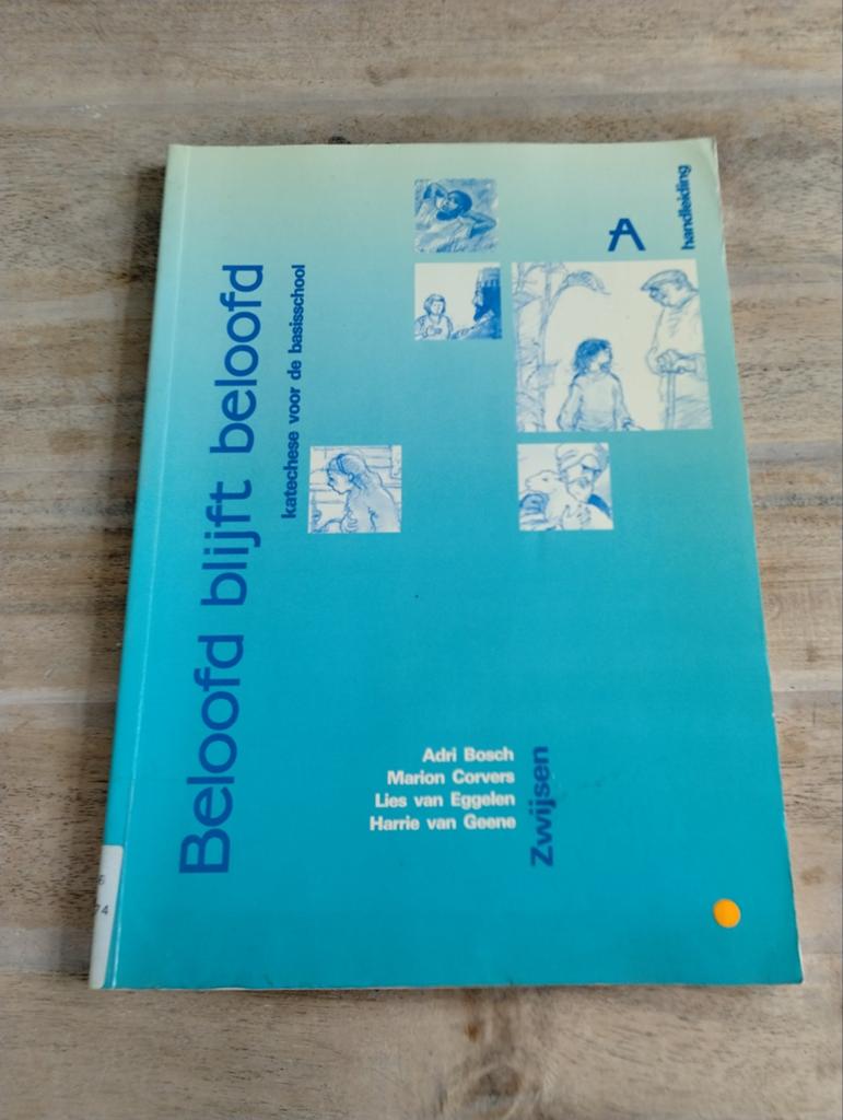 Beloofd blijft beloofd - Katechese voor de basisschool, Boeken, Schoolboeken, Gelezen, Godsdienst en Levensbeschouwin, Ophalen of Verzenden