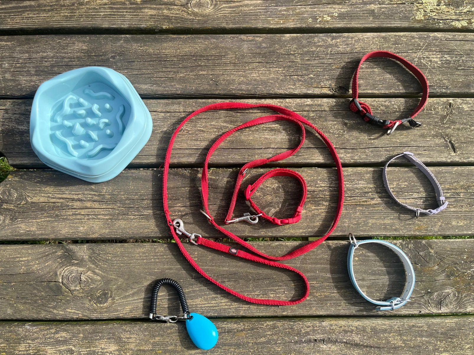 Puppy pakketje (diverse halsbandjes, riem, anti schrok bak), Ophalen of Verzenden, Zo goed als nieuw