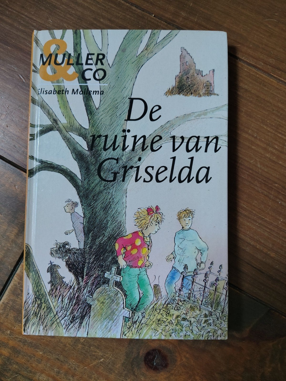 Boek Elisabeth Mollema - De ruine van Griselda, Ophalen of Verzenden, Gelezen