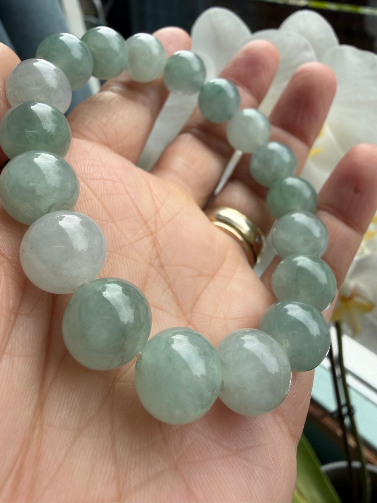 11.55mm Myanmar Jade Type A Blue Armband met Certificaat, Overige materialen, Nieuw, Ophalen of Verzenden, Met bedels of kralen