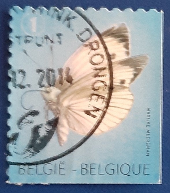 Belg jaar 2012 cob nr 4255c, Postzegels en Munten, Postzegels | Europa | België, Ophalen of Verzenden, Gestempeld, Gestempeld