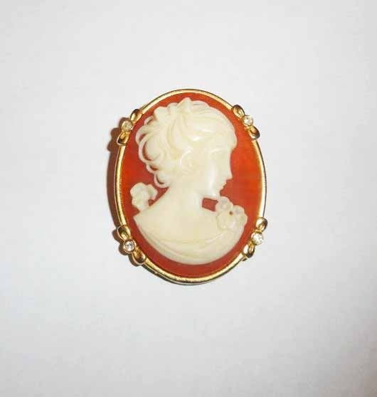 Broche Camee groot zirkonia, Overige materialen, 4 tot 7 cm, Verzenden, Met kristal