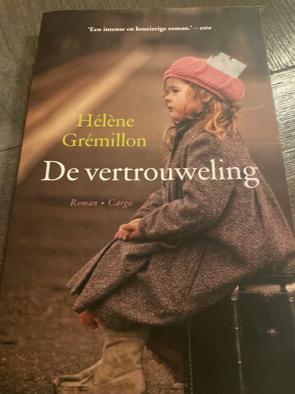 De Vertrouweling - Hélène Grémillon (Roman), Ophalen of Verzenden, Zo goed als nieuw, Nederland
