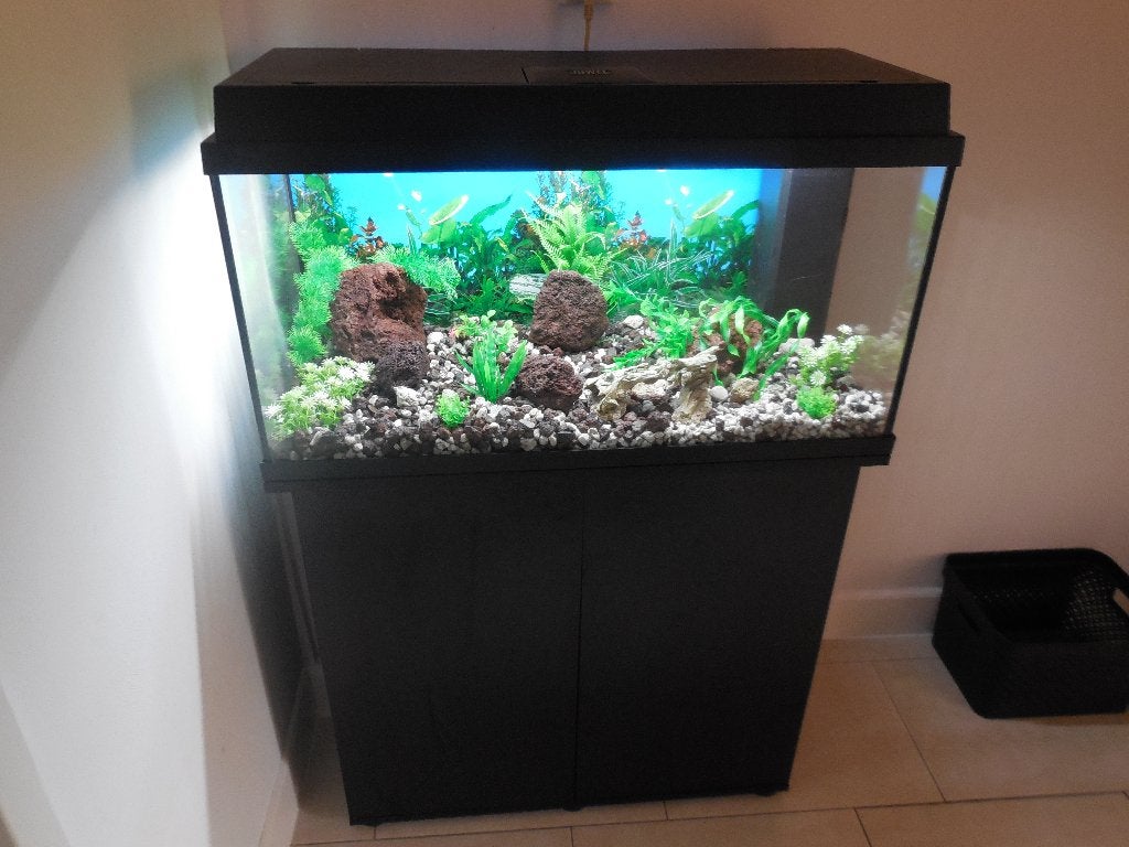 compleet aquarium/kastcombinatie juwel primo 80  (110 liter), Dieren en Toebehoren, Gebruikt, Leeg aquarium, Juwel, Ophalen