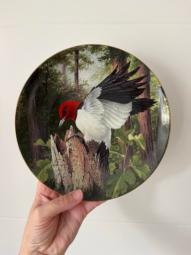 Limoges Porseleinen Verzamelbord "Red-Headed Woodpecker", Antiek en Kunst, Ophalen of Verzenden