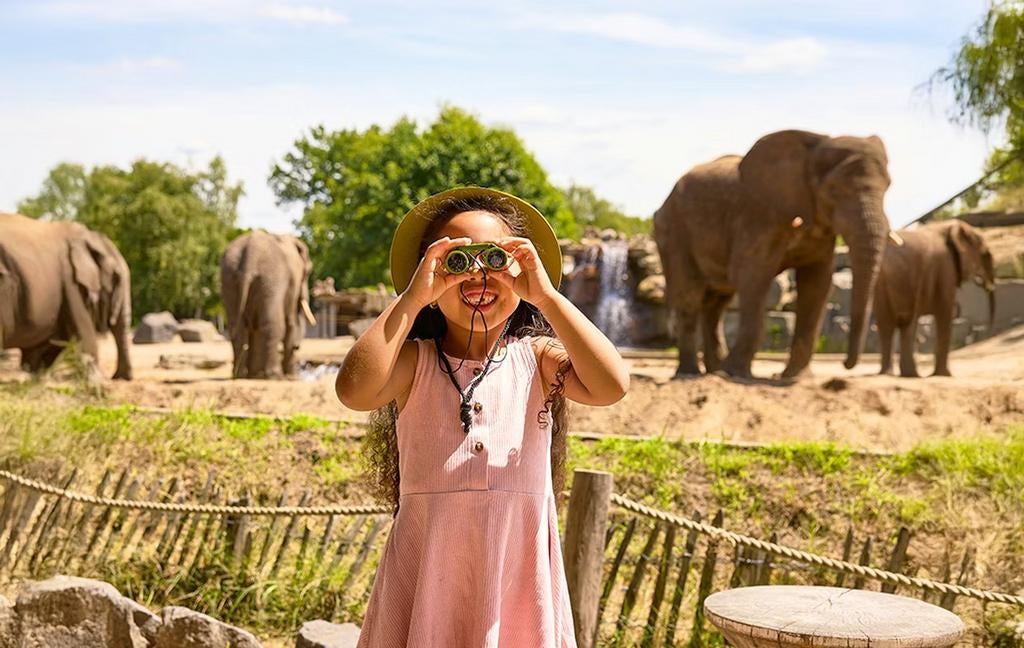 Safari Park Beekse Bergen, Tickets en Kaartjes, Eén persoon, Ticket of Toegangskaart