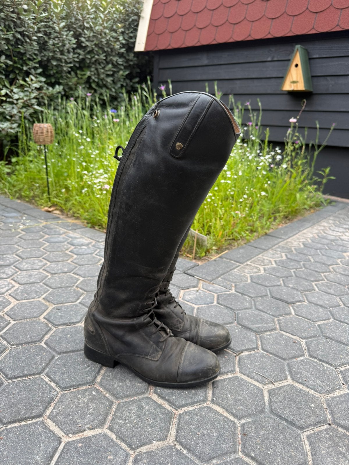 Ariat rijlaarzen 38,5, Ophalen of Verzenden, Zo goed als nieuw, Dressuur, Schoeisel