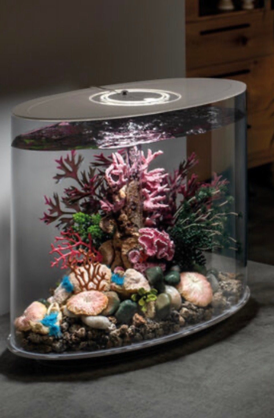 Biorb aquarium 35 liter, Ophalen of Verzenden, Inclusief toebehoren, Leeg aquarium
