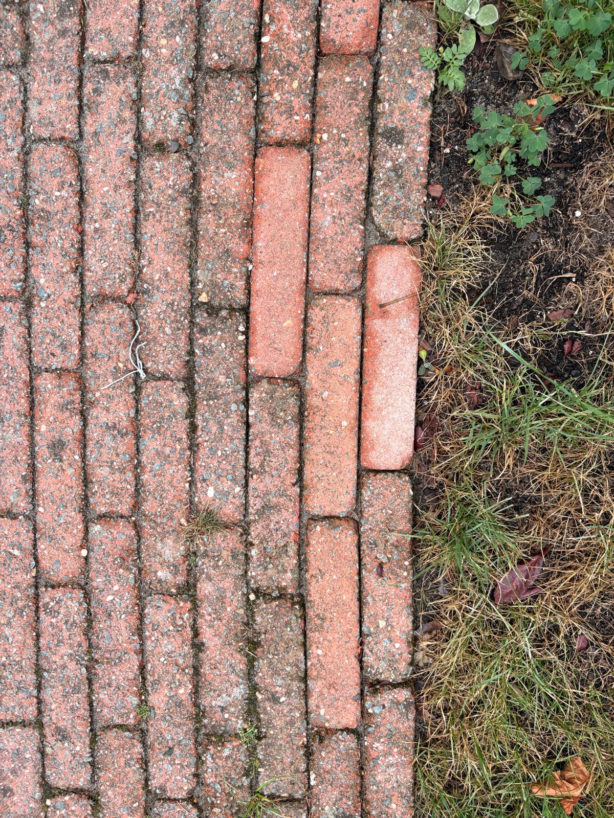 Gratis Klinkers - Gebruikte rode bakstenen voor tuin, Overige materialen, Gebruikt, 20 tot 40 cm, 10 m² of meer
