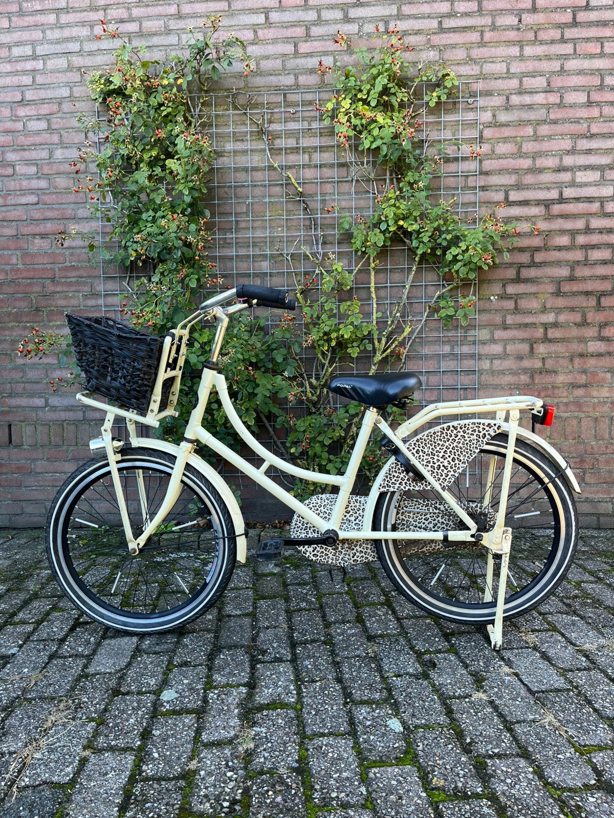 Leuke Popal meisjes omafiets 22”, Fietsen en Brommers, Ophalen, Terugtraprem, 22 inch, Gebruikt