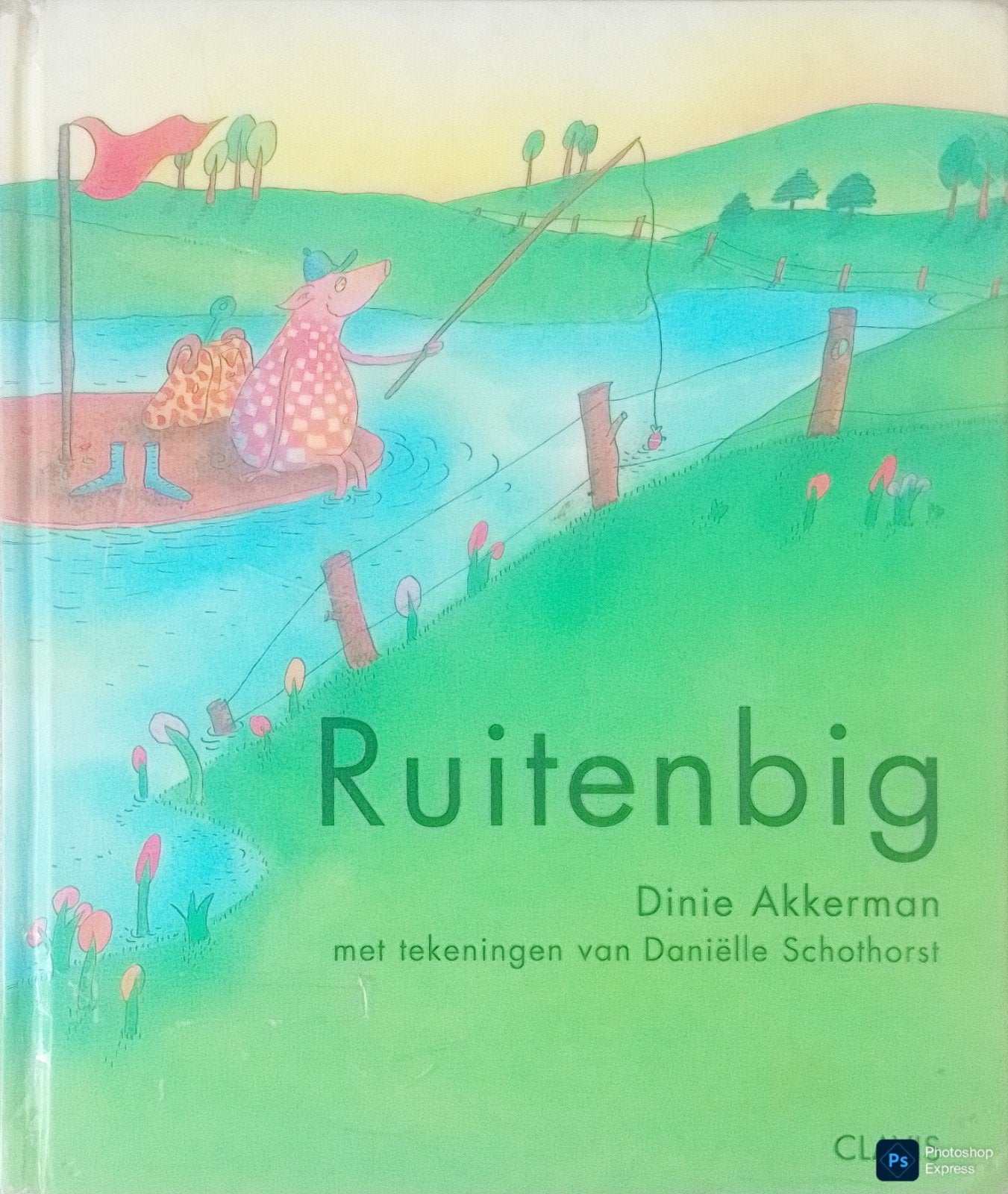 Ruitenbig, Gelezen, Dinie Akkerman., Fictie algemeen, Jongen of Meisje