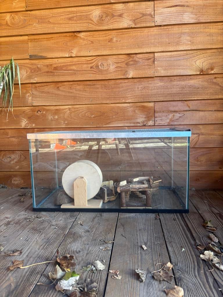 Glazen hamsterhok met spullen, Gebruikt, Muis, Hok, 75 tot 110 cm
