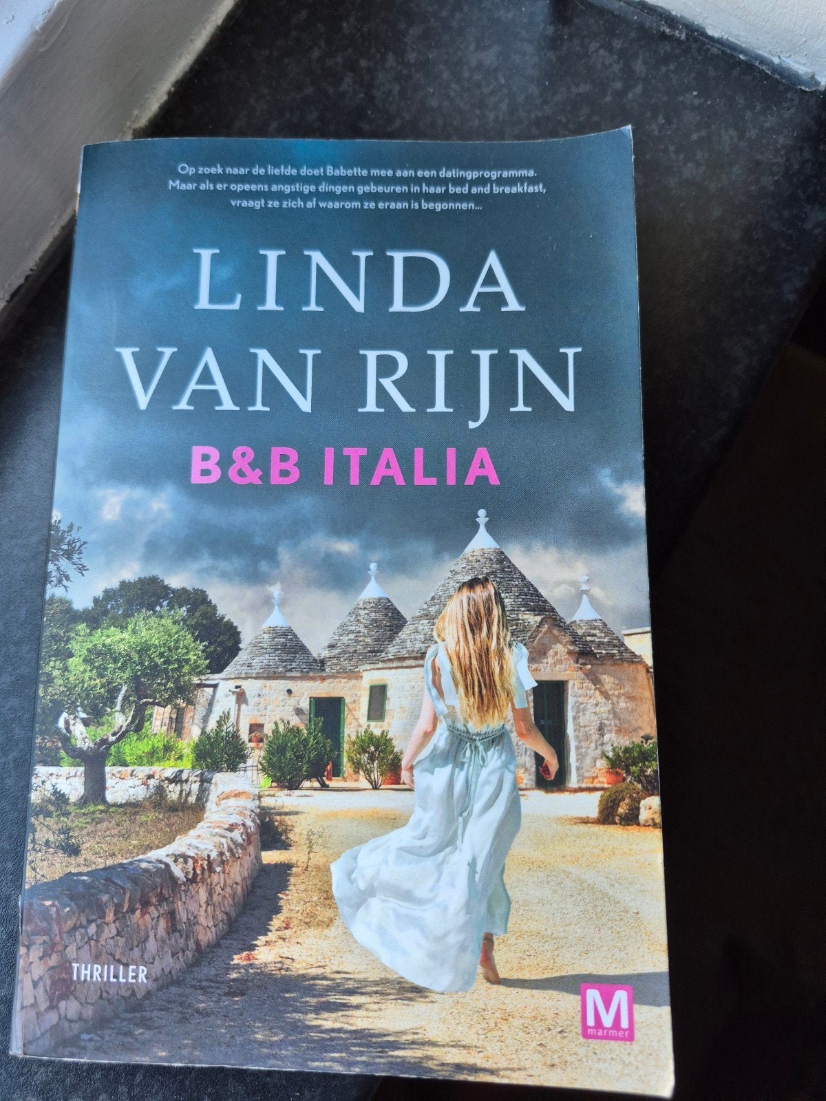 linda van Rijn  - b&b Italia, Boeken, Linda van Rijn, Ophalen of Verzenden, Zo goed als nieuw, Nederland