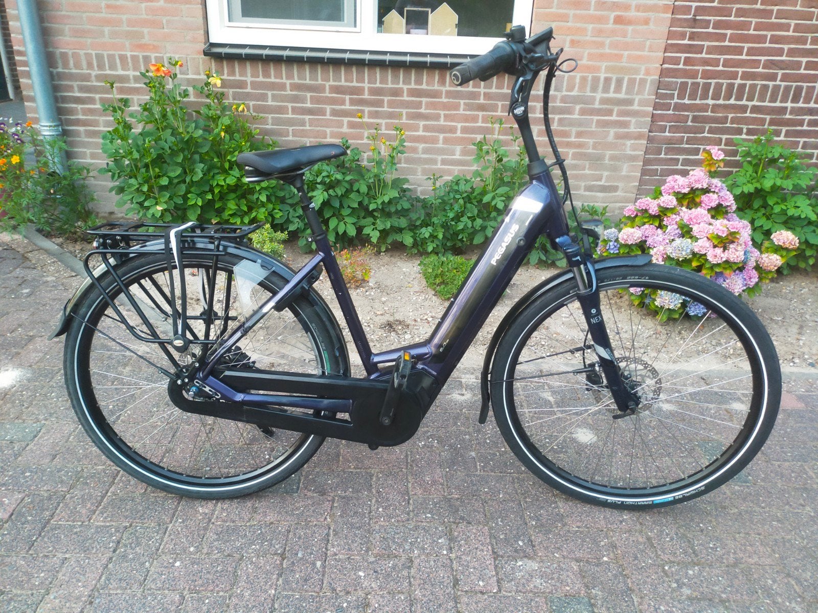 Pegasus Ravenna 50cm, Gebruikt, 47 tot 51 cm, 50 km per accu of meer, Ophalen