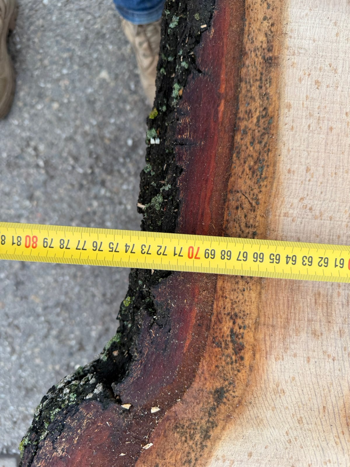 Mooi eikem barblad, Ophalen, Zo goed als nieuw, 250 cm of meer, Planken