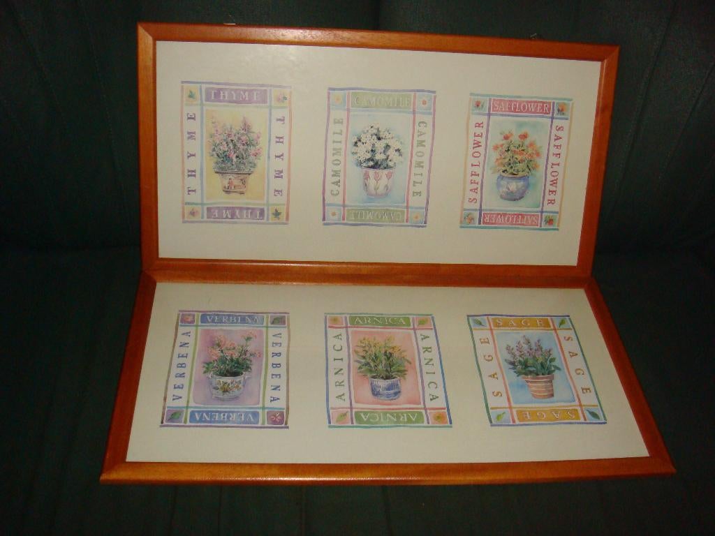 Ingelijste schilderijen 2 st., Ophalen, 50 tot 75 cm, Schilderij, Minder dan 50 cm