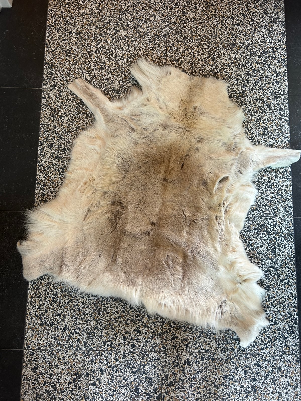 Prachtig rendiervel uit Finland, Ophalen, 100 tot 150 cm, 50 tot 100 cm, Zo goed als nieuw