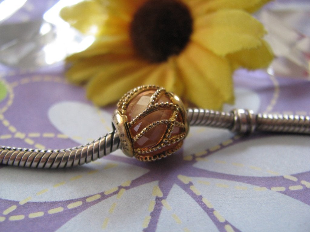 Pandora SHINE collectie 791968CCZ = intertwining radiance, Pandora, Ophalen of Verzenden, Zo goed als nieuw, 1 bedel