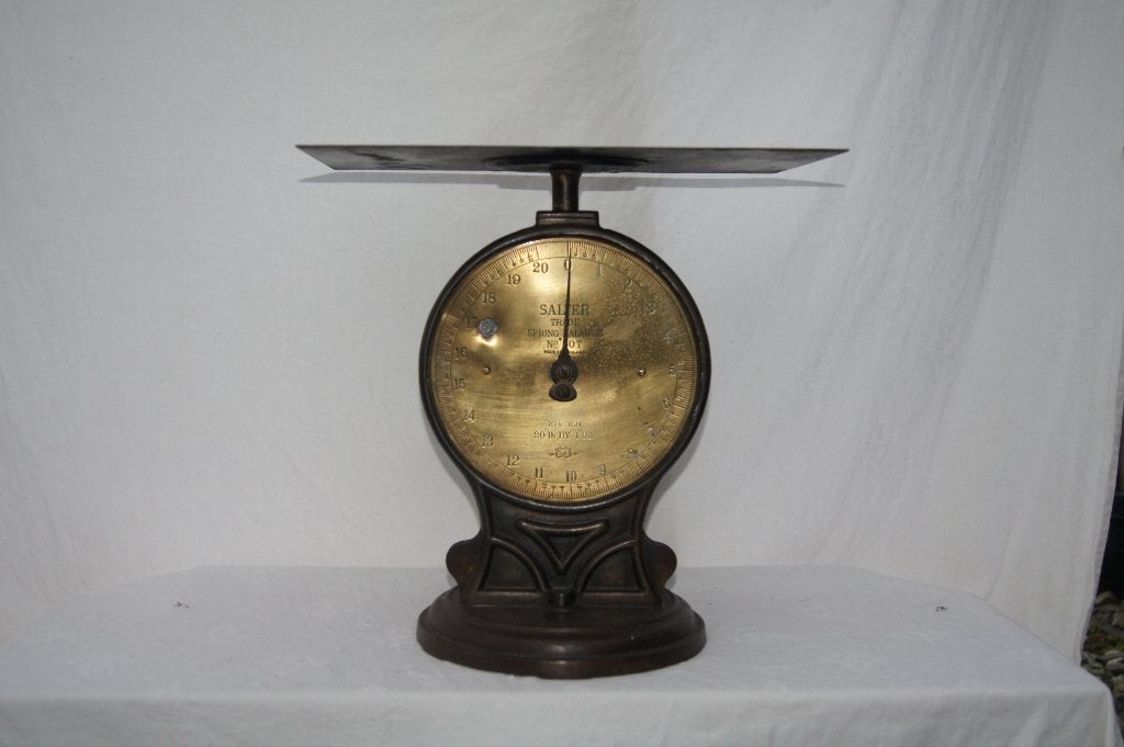 Salter Trade Spring Balance, Ophalen of Verzenden