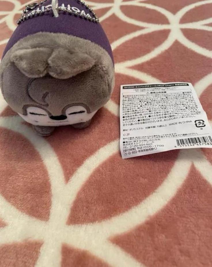Stray Kids SKZOO Wolf Chan bag charm plush, Ophalen of Verzenden, Nieuw, Foto of Kaart