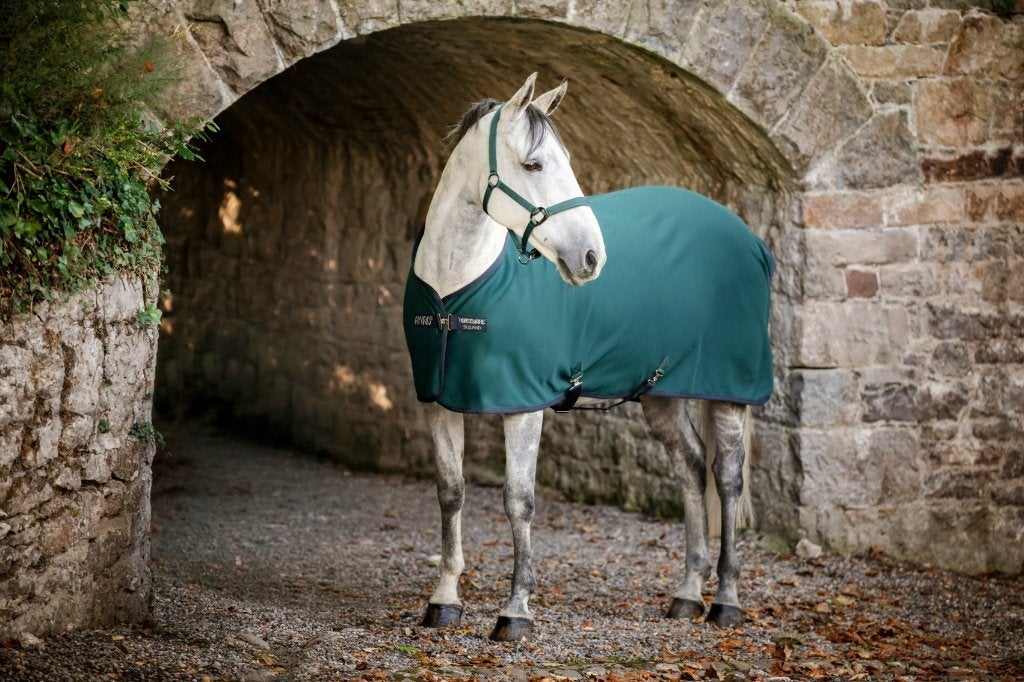 Amigo Jersey Zweetdeken, 168, 175, 183, 191, 198, 206, 213, Dieren en Toebehoren, Paarden en Pony's | Dekens en Dekjes, Kruissingels