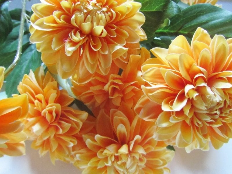 OPRUIMING - DAHLIA - KUNST - PERZIK - VAN 4,50 NU 2,50, Ophalen of Verzenden, Nieuw