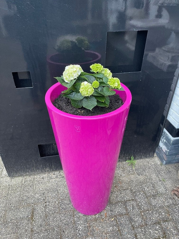 RONDE Plantenbak bloembak FUCHSIA kunststof bloempot, Tuin en Terras, Bloembakken en Plantenbakken, Minder dan 60 cm, Rond, Nieuw