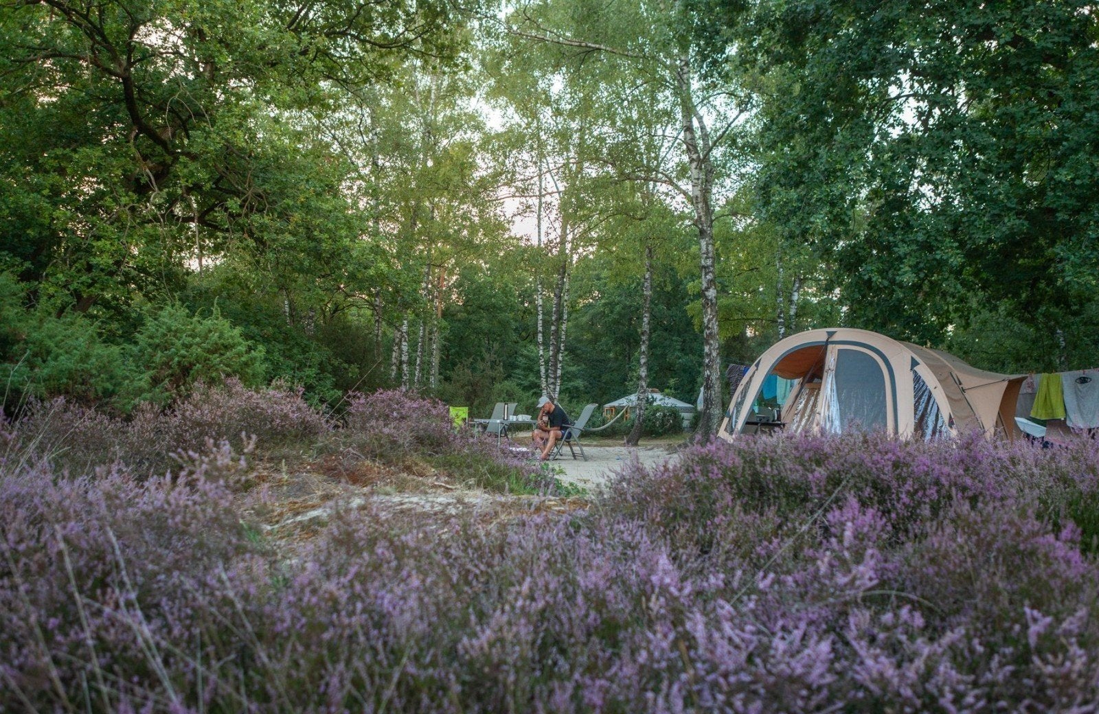 Last-minute kampeer plek met WiFi op Het Meuleman | 350 per, Caravans en Kamperen, Verhuur