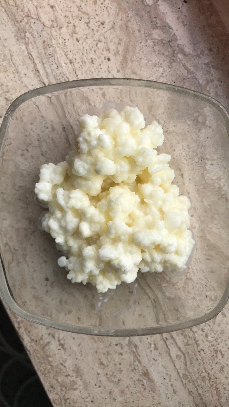 Melkkefir,kefir korrels/roosjes uit Kaukasus,bio melk gevoed, Diversen, Ophalen of Verzenden