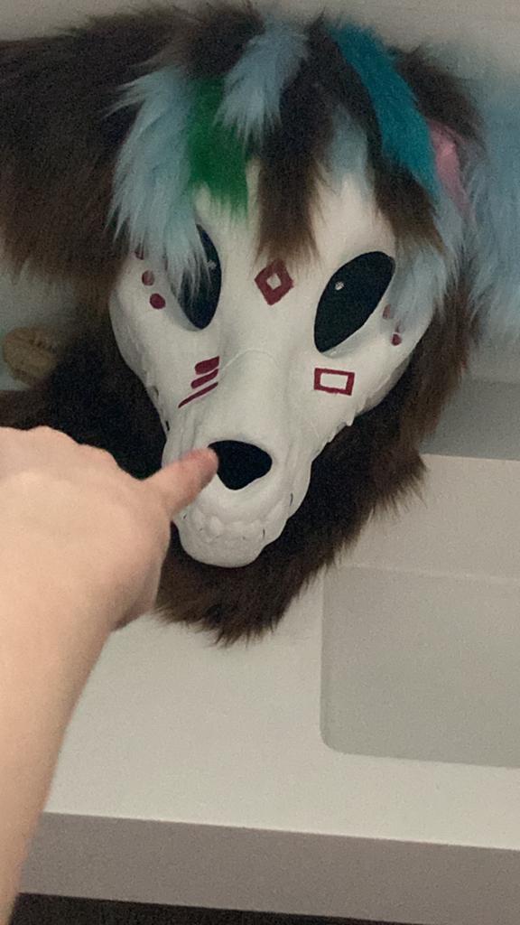 Fursuit, Ophalen of Verzenden, Zo goed als nieuw