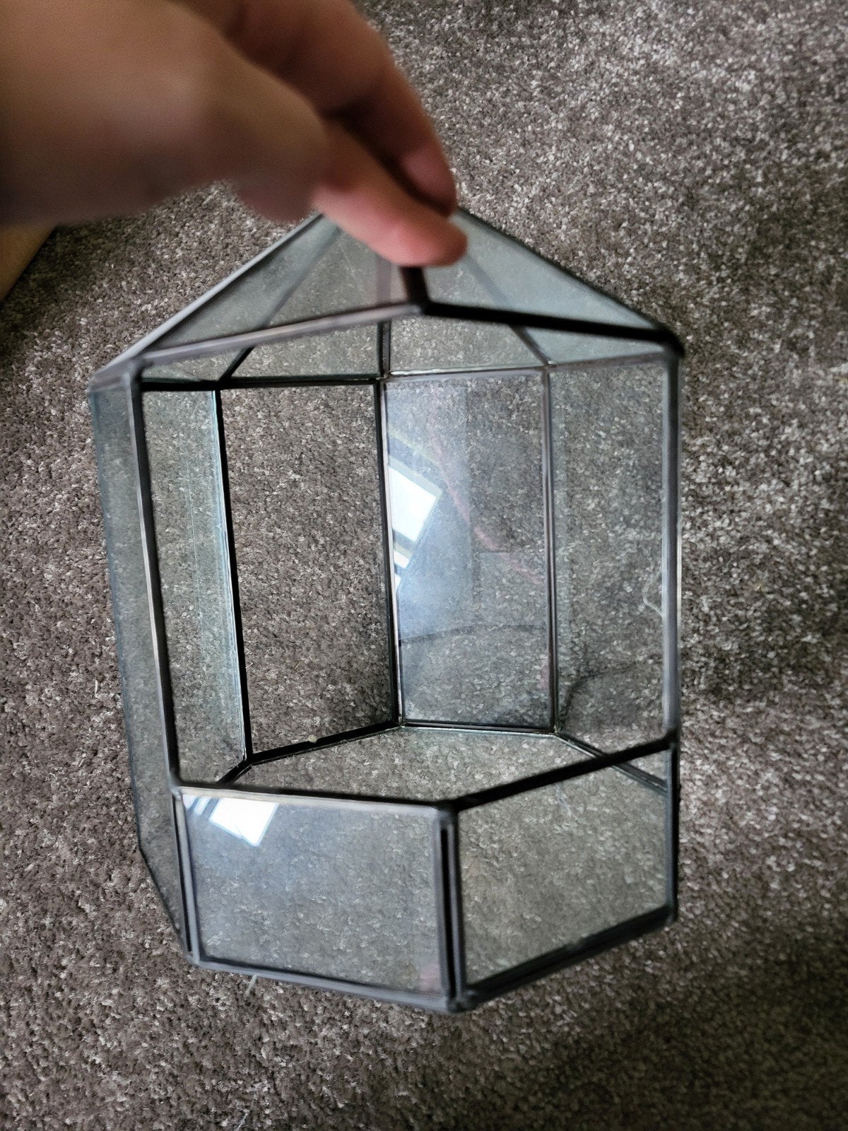 Glazen planten terrarium - Ideaal voor kleine plantjes, Ophalen of Verzenden