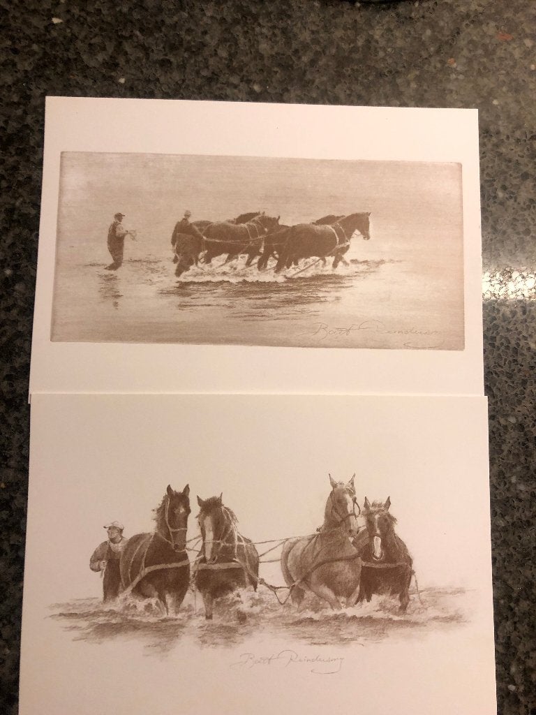 Ameland.  set paardenreddingsboot ., Ophalen of Verzenden, 1980 tot heden, Ongelopen, Waddeneilanden