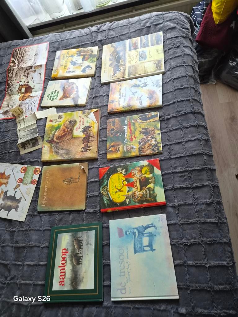 Rien poortvliet boeken 10 stuks, Ophalen of Verzenden, Gelezen