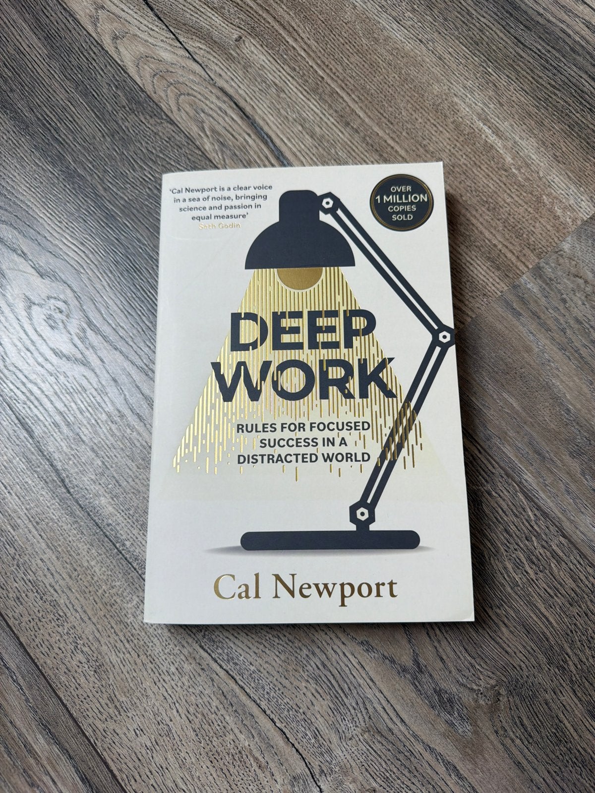 Deep Work: Regels voor succes in een afgeleide wereld, Ophalen of Verzenden, Zo goed als nieuw, Wereld overig