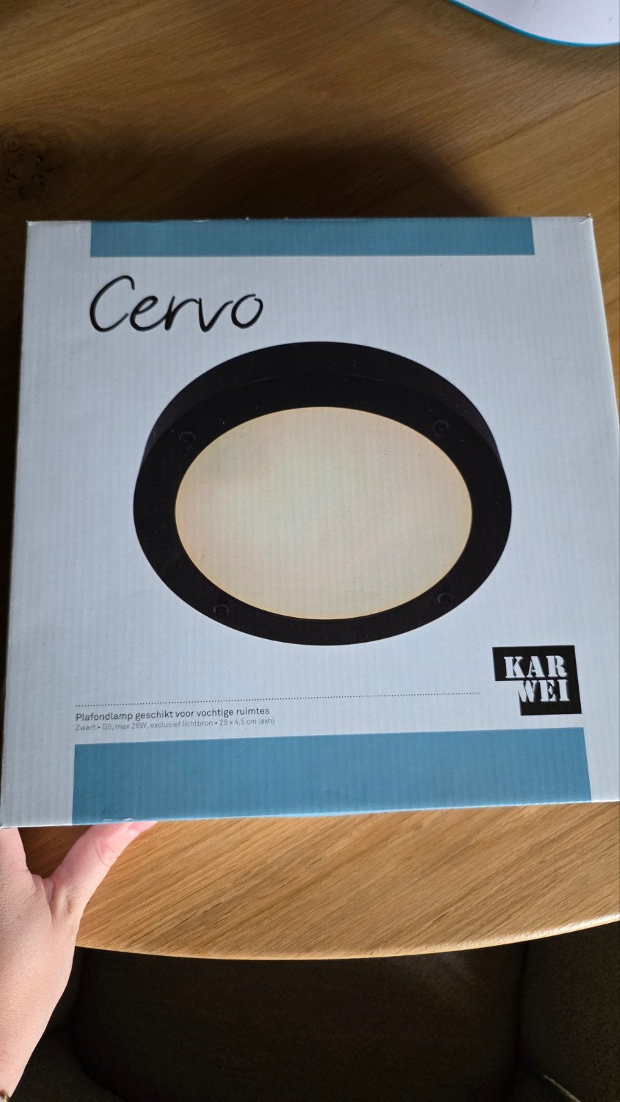 cervo karwei badkamer lamp, Huis en Inrichting, Ophalen of Verzenden, Zo goed als nieuw