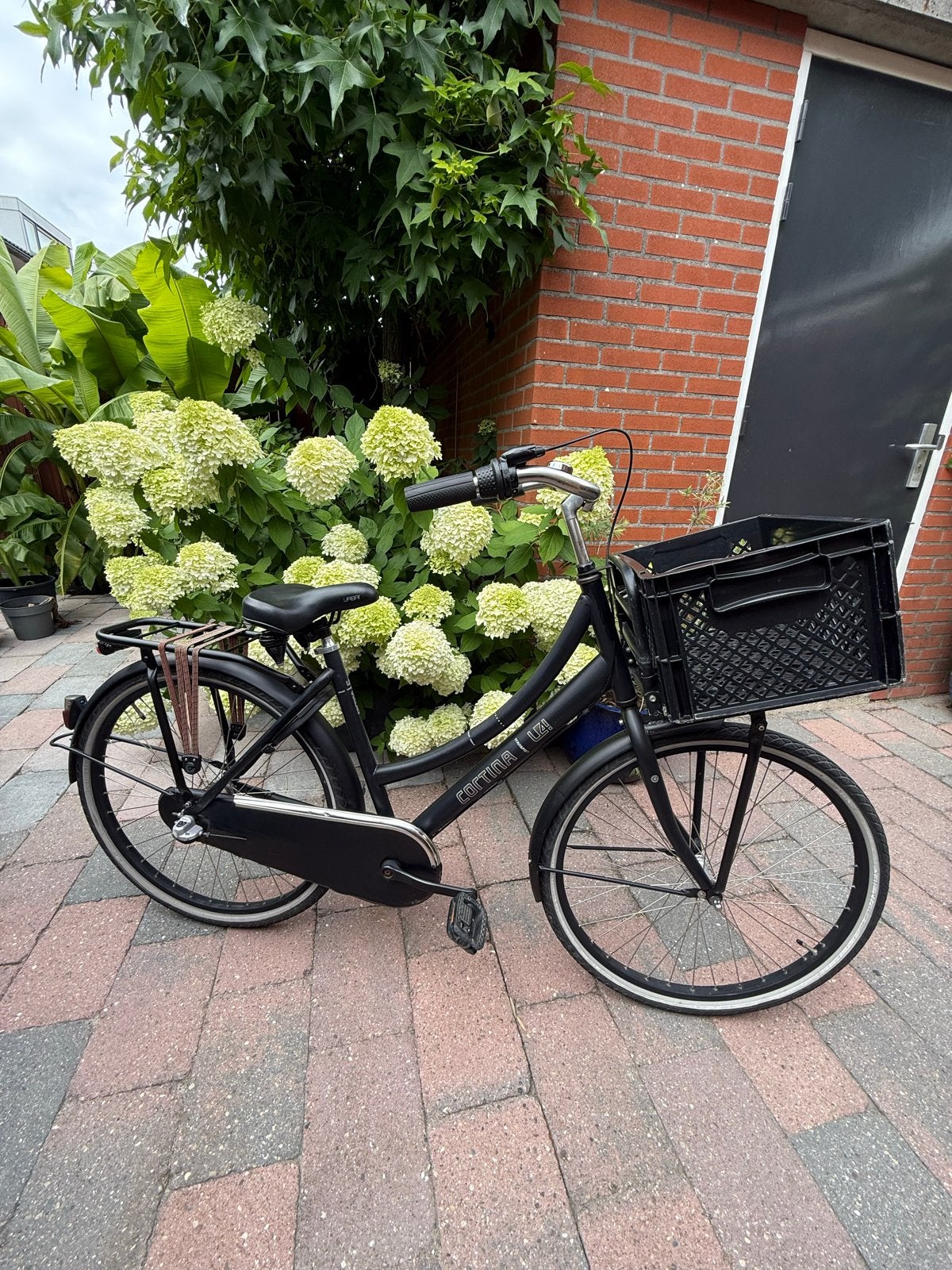 Cortina U4 Transport Meisjesfiets - 26 inch - Zwart, Fietsen en Brommers, Fietsen | Meisjes, Terugtraprem, Gebruikt, Handrem, Ophalen
