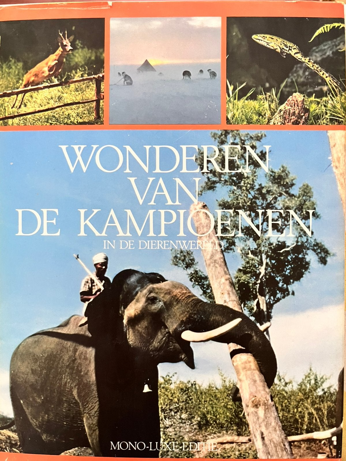 Wonderen van de Kampioenen, Ophalen of Verzenden, Zo goed als nieuw, Natuur algemeen
