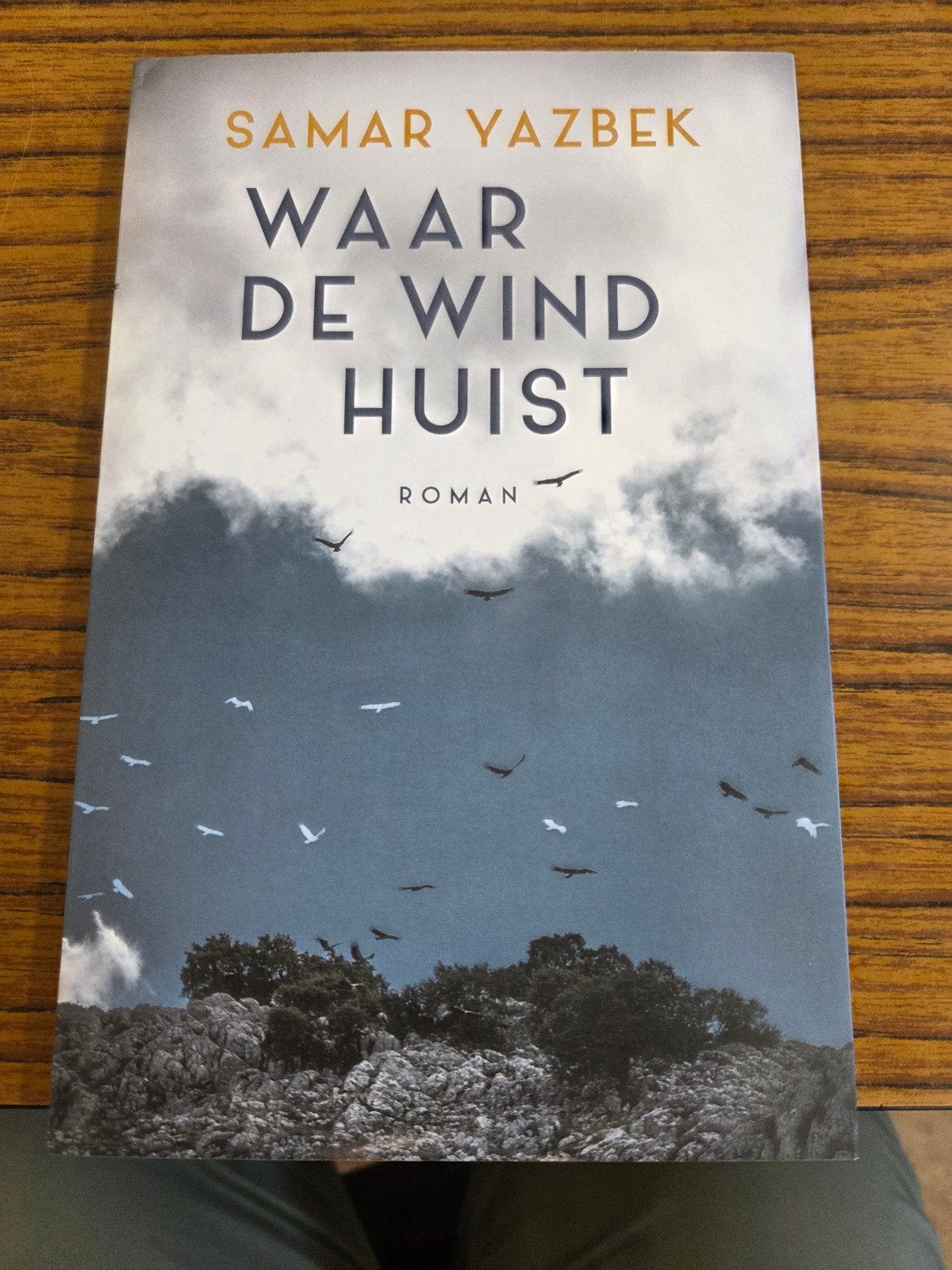 Samar Yazbek - Waar de wind huist, Boeken, Ophalen of Verzenden, Zo goed als nieuw, Samar Yazbek