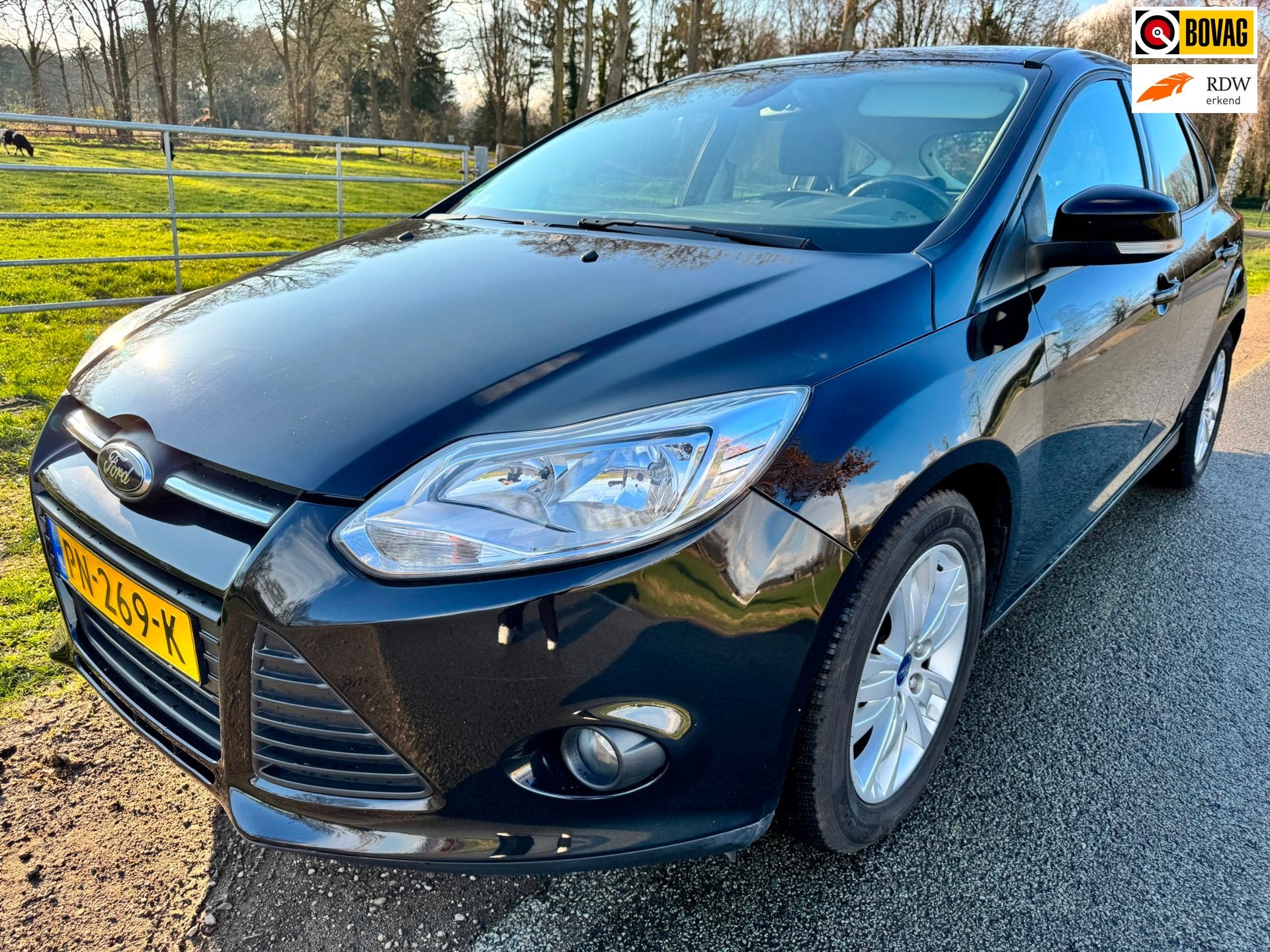 Ford Focus 1.6 TI-VCT Titanium 125PK AUTOMAAT, 4 cilinders, Zwart, Bedrijf, 1000 kg