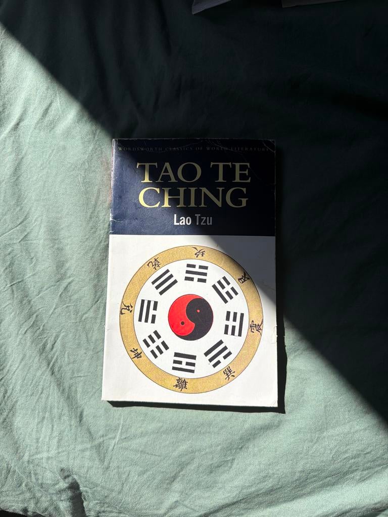 Tao Te Ching - Lao Tzu (Engelse editie), Boeken, Ophalen of Verzenden, Gelezen, Spiritualiteit algemeen, Achtergrond en Informatie