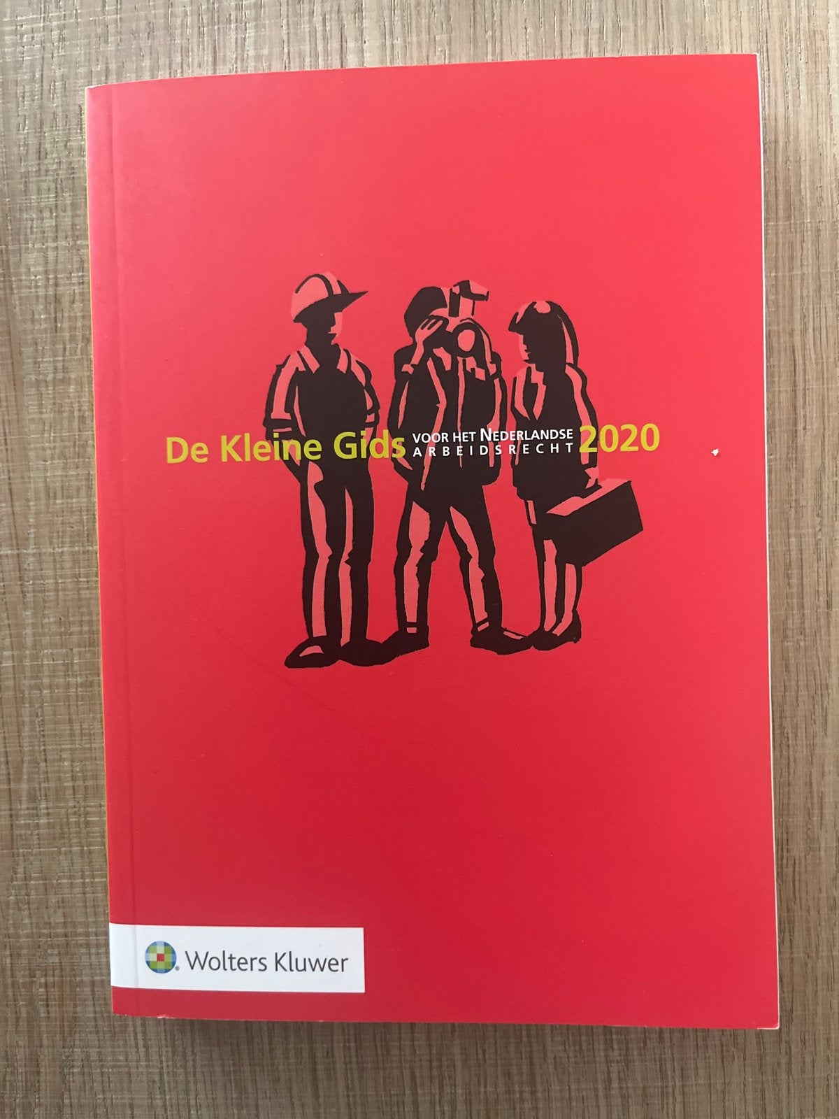 De Kleine Gids voor het Nederlandse Arbeidsrecht 2020, Ophalen of Verzenden, Gamma, Zo goed als nieuw, HBO