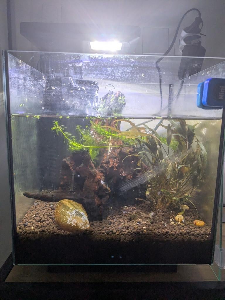 Ingedraaid aquarium met verwarmer, Ophalen