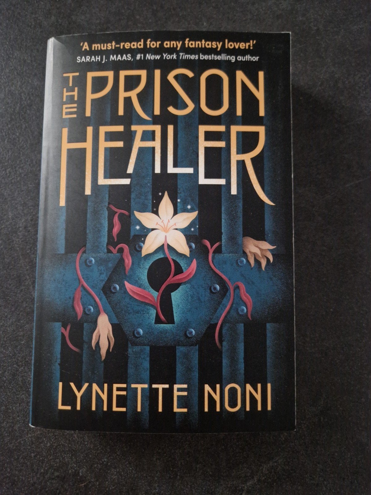 The Prison Healer - Lynette Noni (Engels), Ophalen of Verzenden, Gelezen