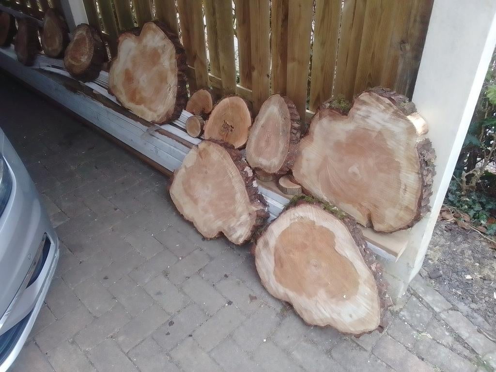 Diverse boomschijven, Minder dan 3 m³, Ophalen of Verzenden
