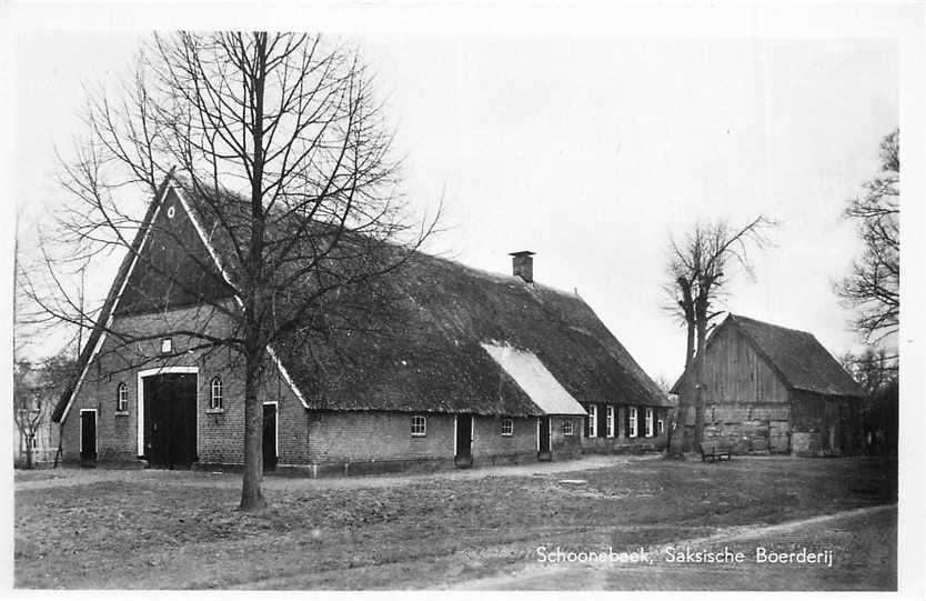 380-159-013 Schoonebeek Saksische Boerderij, Verzamelen, Ansichtkaarten | Nederland, Verzenden, Voor 1920, Drenthe