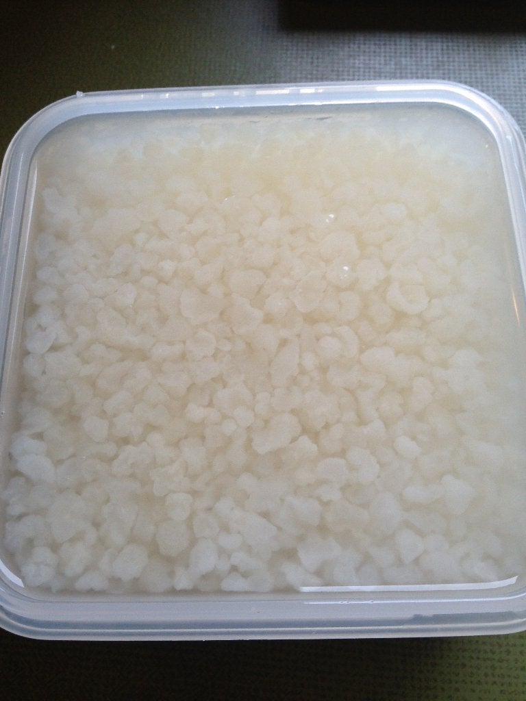 Waterkefir korrels, Ophalen