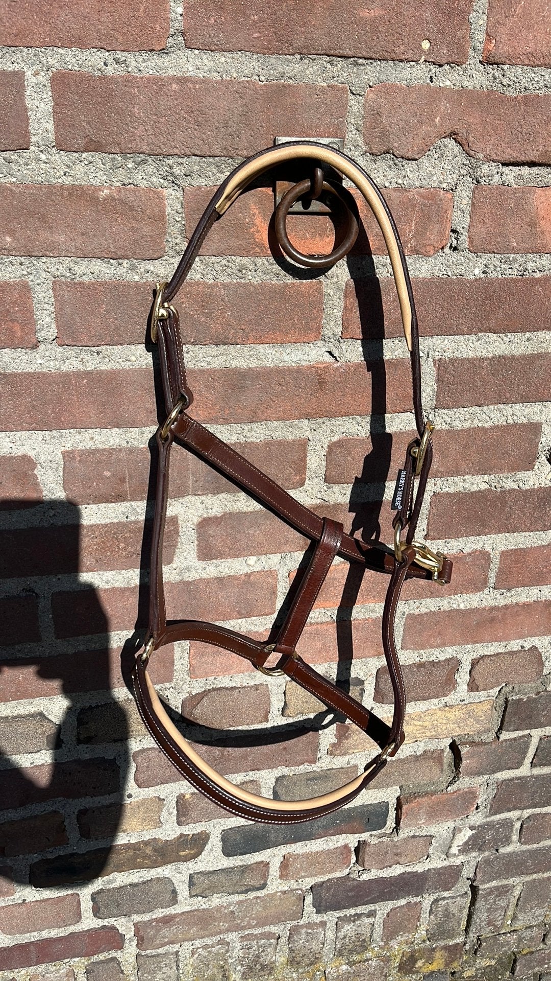 Nieuw Happy Horse Cob leren halster, Dieren en Toebehoren, Bruin, Harry's Horse, Nieuw, Ophalen of Verzenden