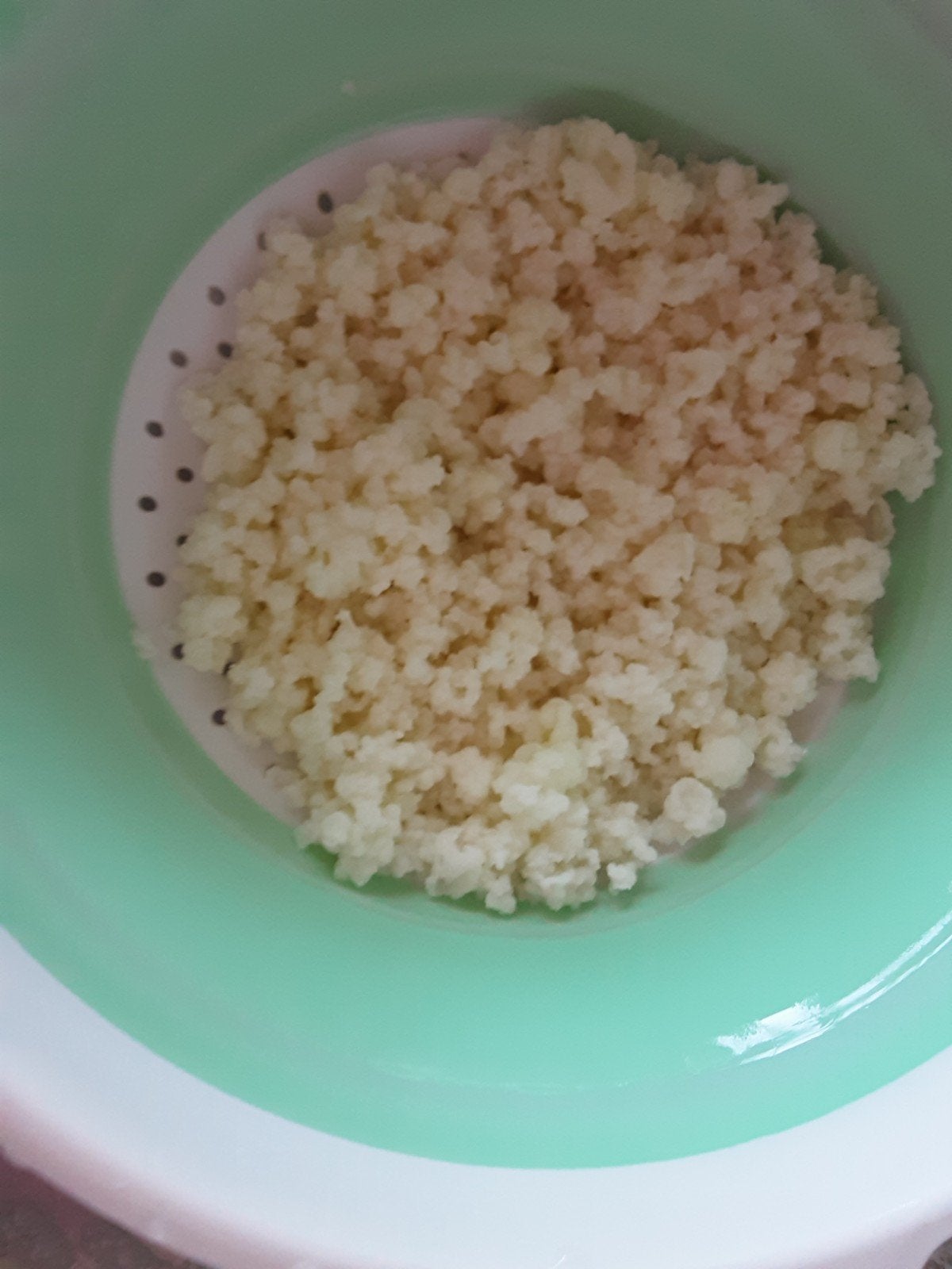 melk kefir korrels, Ophalen of Verzenden